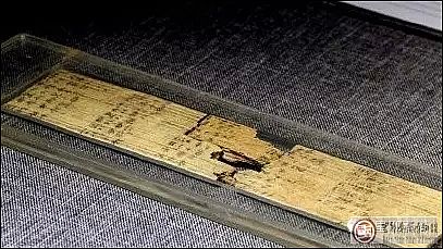 1501556987881800.jpg 3.jpg