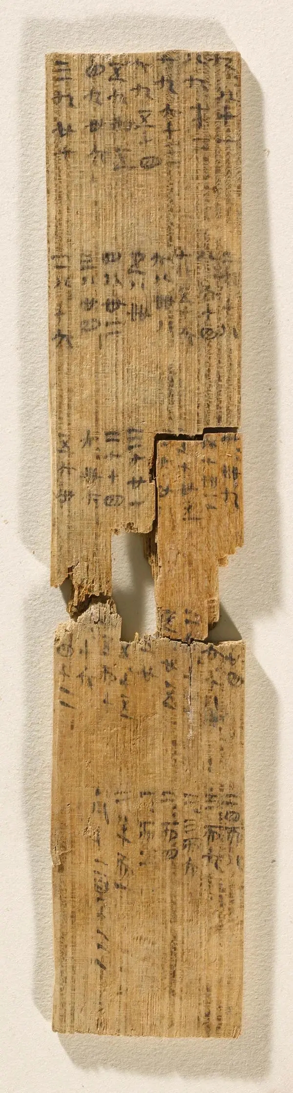 9a504fc2d562853576f83f0c4e7f48c3a7ef631d.webp.jpg