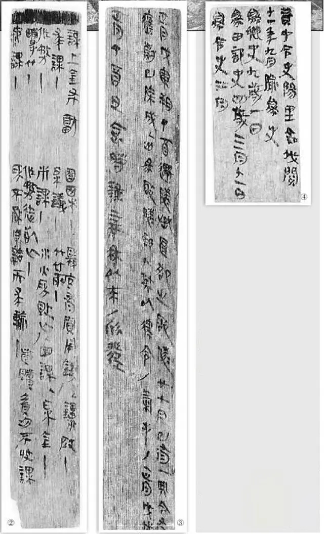 1676881411295033.jpg 12.11-12.webp.jpg