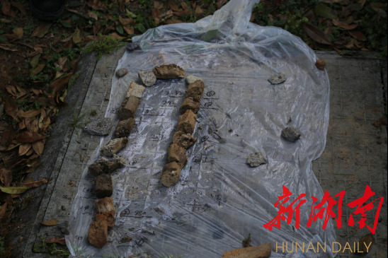 1678849336520393.jpg 5.jpg